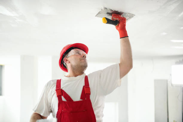 Environmental Consulting for Mold Prevention in Lakeside, MT
