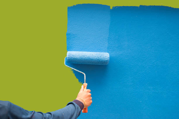 Best Attic Mold Removal  in Lakeside, MT